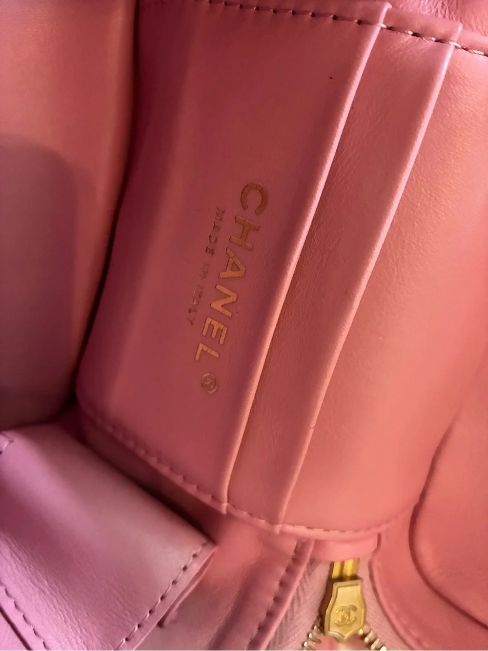 CHANEL Pink Shearling Fur Vanity Bag with Gold CC Hardware